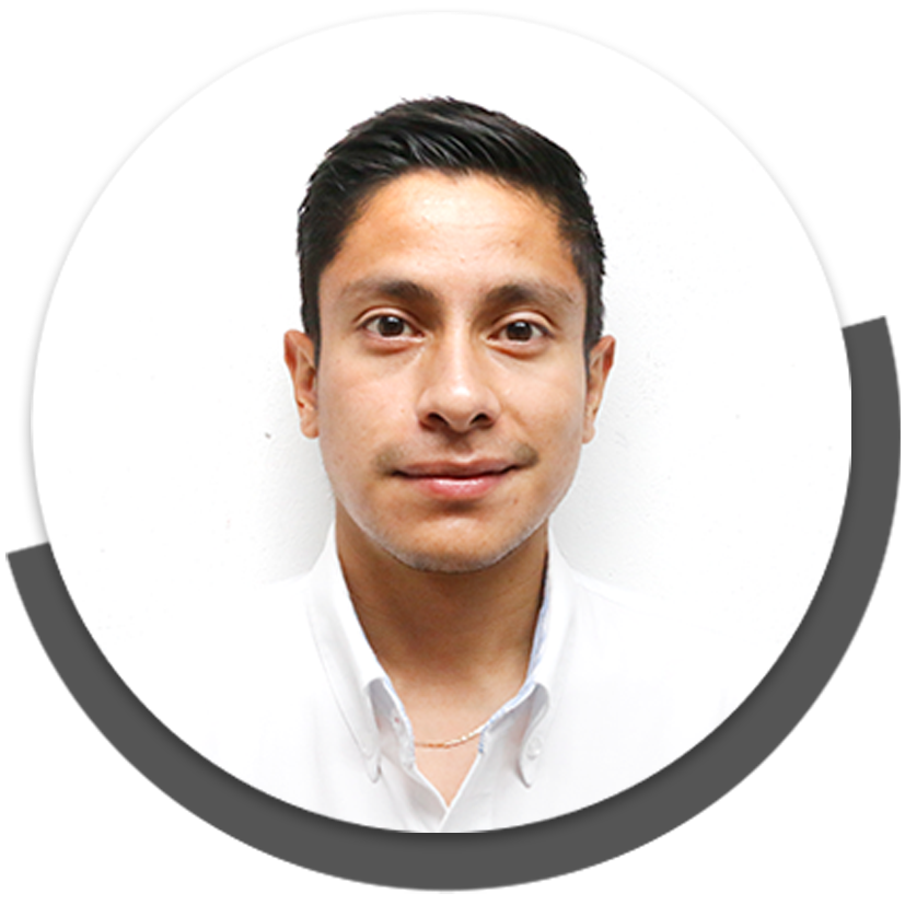 DIRECTOR DE ATENCIÓN INTEGRAL PARA LA FAMILIA