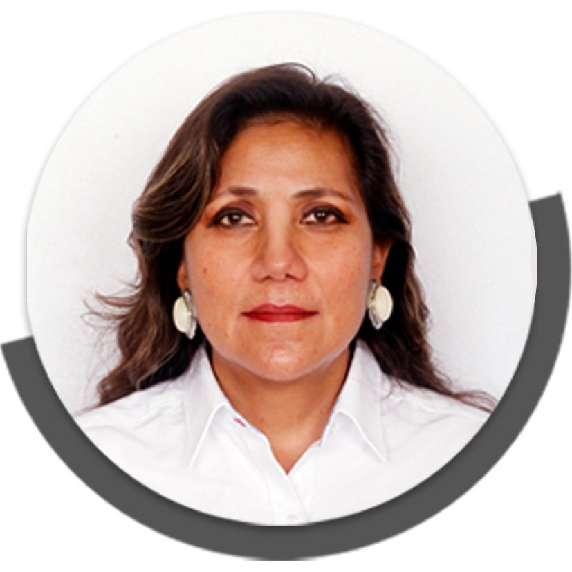 PROCURADORA PARA LA PROTECCIÓN DE NIÑAS, NIÑOS Y ADOLESCENTES